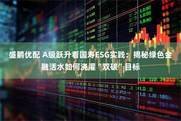 盛鹏优配 A级跃升看国寿ESG实践：揭秘绿色金融活水如何浇灌“双碳”目标