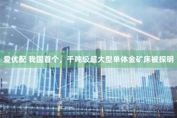 爱优配 我国首个，千吨级超大型单体金矿床被探明