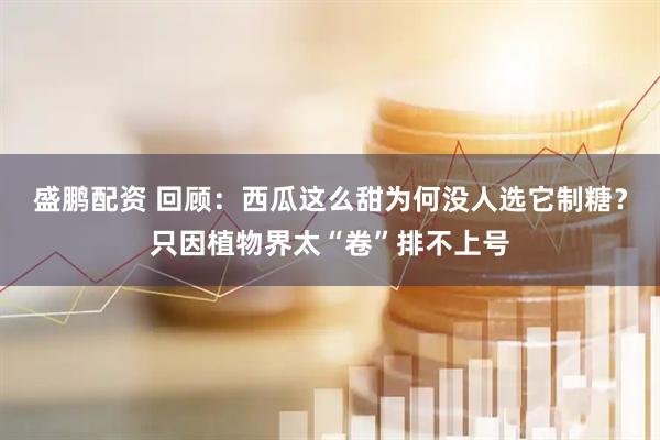 盛鹏配资 回顾：西瓜这么甜为何没人选它制糖？只因植物界太“卷”排不上号