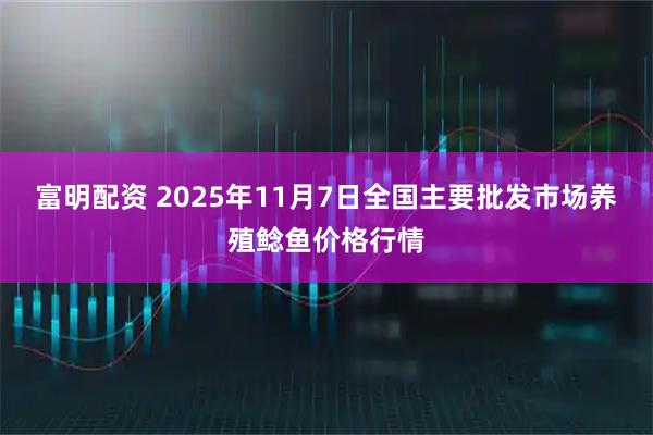 富明配资 2025年11月7日全国主要批发市场养殖鲶鱼价格行情