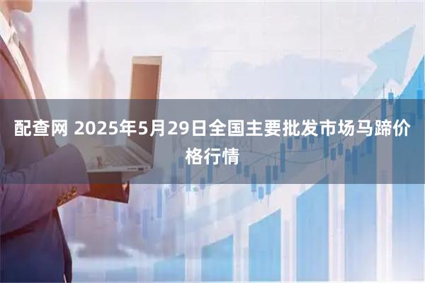 配查网 2025年5月29日全国主要批发市场马蹄价格行情