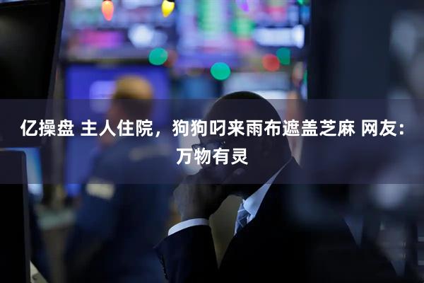 亿操盘 主人住院，狗狗叼来雨布遮盖芝麻 网友：万物有灵